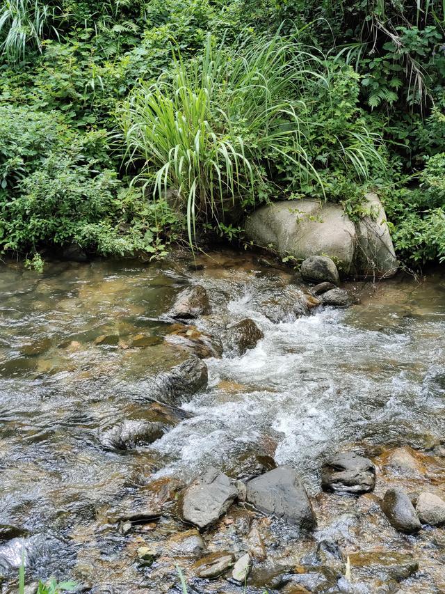 总结下郴州比较“野”的玩水之地（自驾）