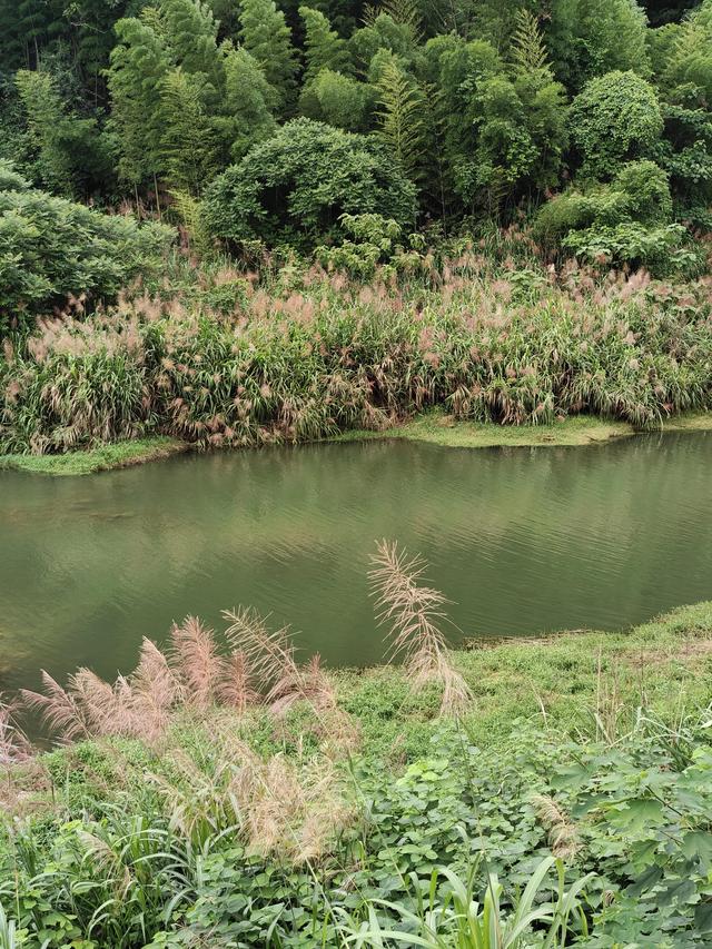 总结下郴州比较“野”的玩水之地（自驾）