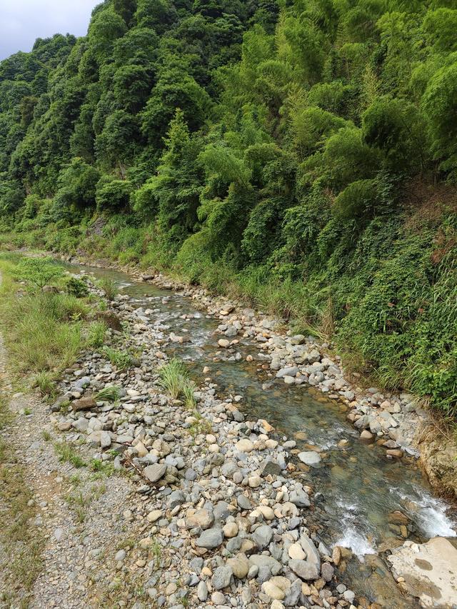 总结下郴州比较“野”的玩水之地（自驾）