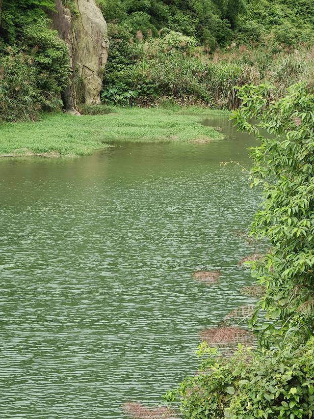 总结下郴州比较“野”的玩水之地（自驾）