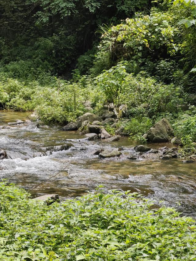 总结下郴州比较“野”的玩水之地（自驾）