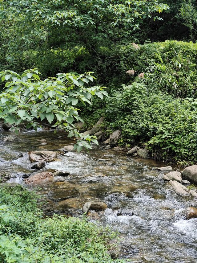 总结下郴州比较“野”的玩水之地（自驾）