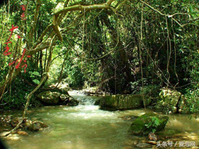 百色大王岭漂流，中国原始森林第一漂，广西离城市最近的原始森林