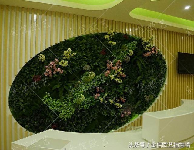 植物墙好处、室内哪儿适合做植物墙、植物墙价格、植物墙维护