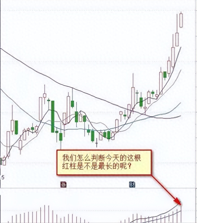 轻松捕捉底部黑马的工具，值得收藏！