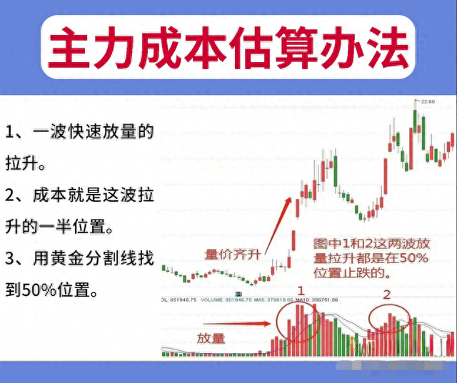 一位16年老股民道破：为何总是一买就跌，一卖就涨？此文值得深思