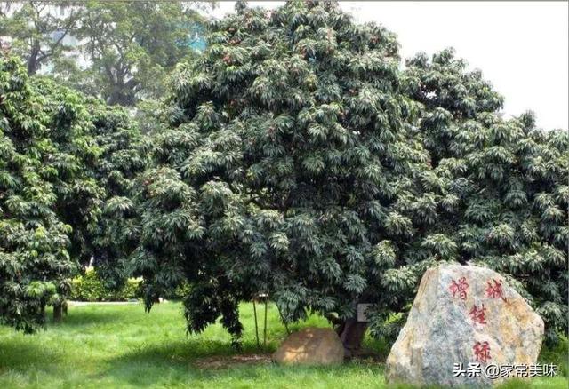 世界四大顶级美食是哪些？你见识过几种？恭喜有一种中国美食上榜