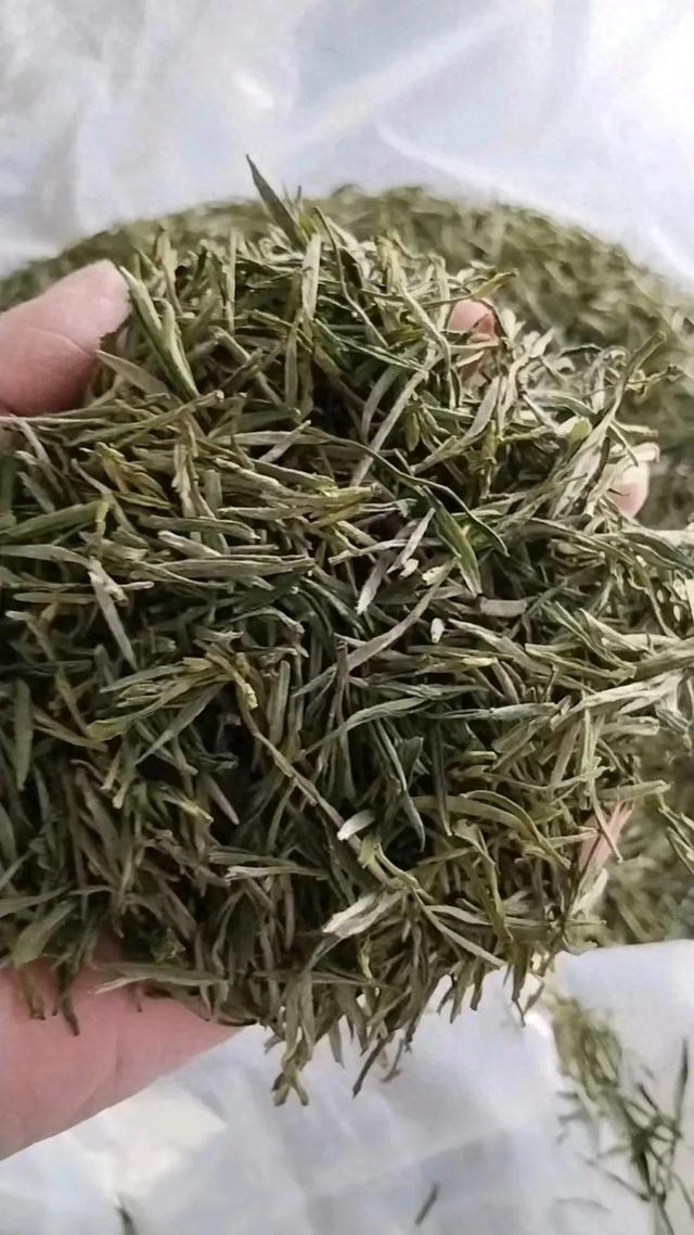 今年茶叶大面积滞销，真实的原因何在，到底是谁在作祟？