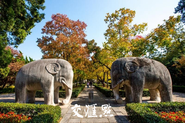 今日秋分，钟山风景区“醉”美秋游攻略@你