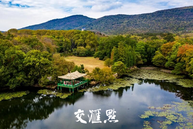 今日秋分，钟山风景区“醉”美秋游攻略@你