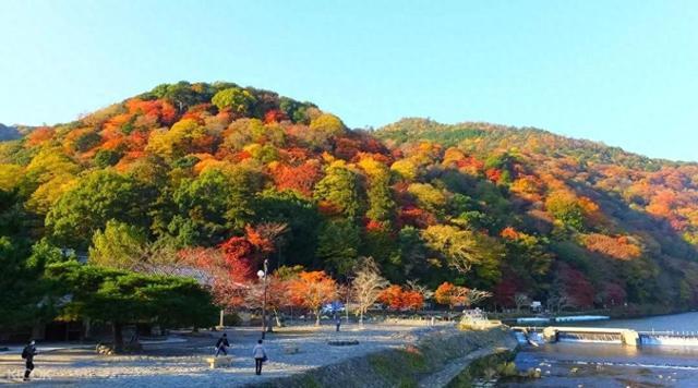 探秘日本岚山，四季美景令人陶醉的绝美风景区