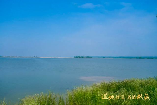 中国“湿地名酒”产区价值研讨会召开，名酒双沟的发展新机遇