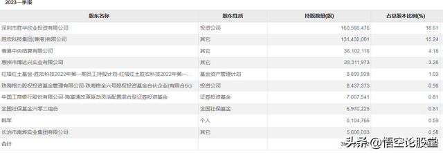 秒懂上市公司——胜宏科技（300476）