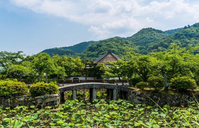 探秘日本岚山，四季美景令人陶醉的绝美风景区