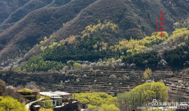 美丽与魅力并存房山史家营