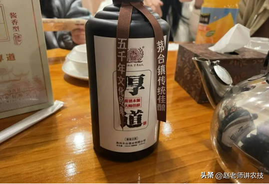 酒曲是什么？大曲酒和小曲酒哪个更好喝？64岁酿酒师一语道破真相