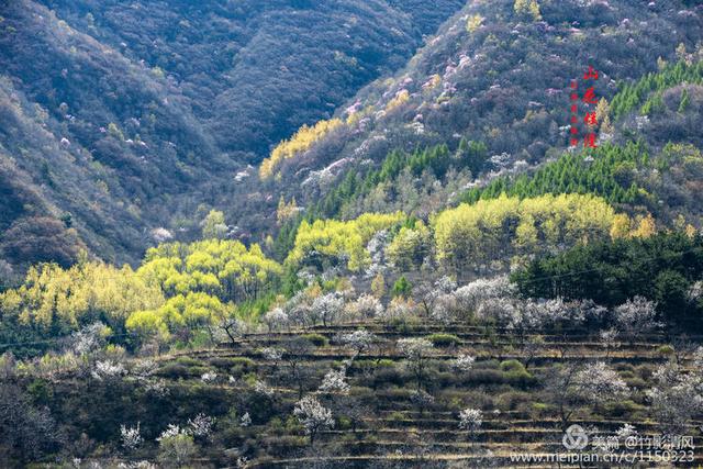 美丽与魅力并存房山史家营