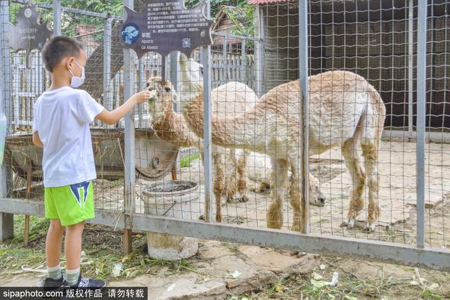 来北京这几家亲子农场，亲近大自然