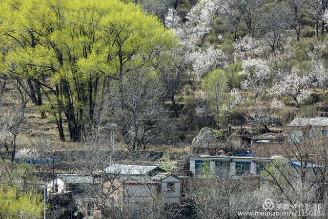 美丽与魅力并存房山史家营