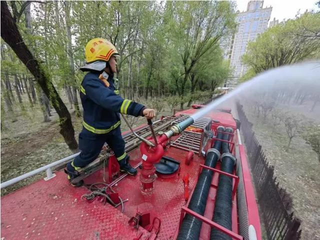 一男子点燃柳絮引起火灾，被拘十日！