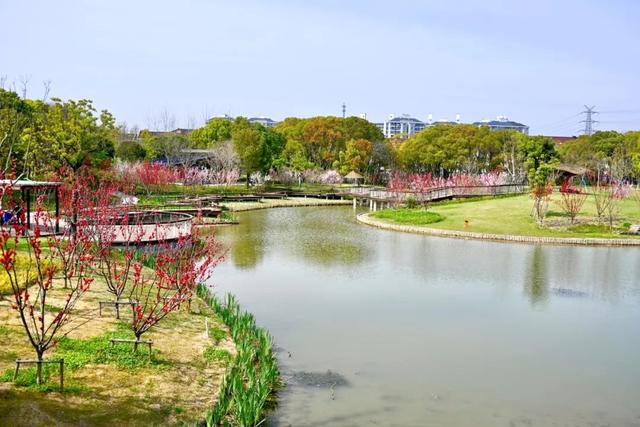 藏不住啦！普陀有座“桃花岛”→