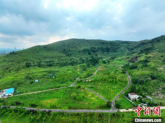 湖北襄阳：“石头山”上种出绿海