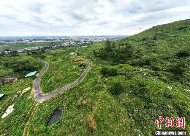 湖北襄阳：“石头山”上种出绿海