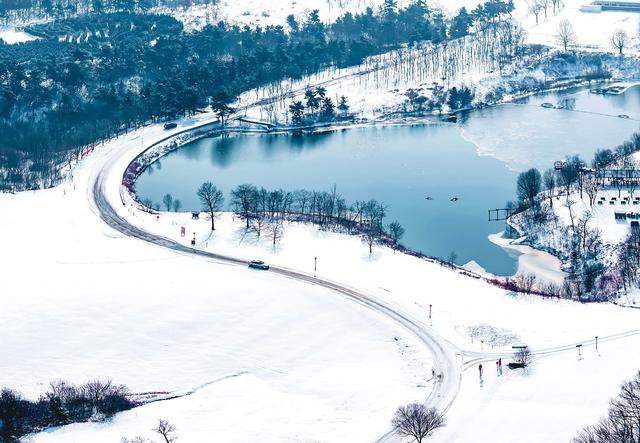 江苏东海：森林公园雪景如画