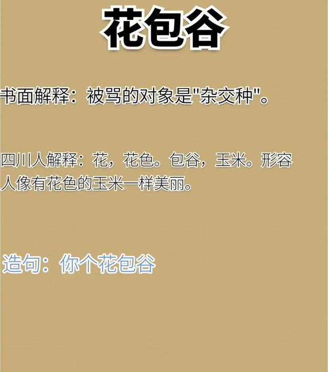 四川方言来一起看看吧！看看能看懂几个呢？