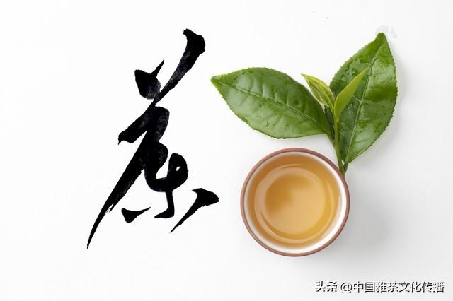 沏一杯清茗，独品三江春水