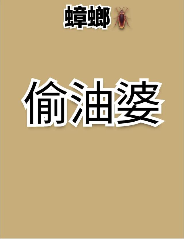 四川方言来一起看看吧！看看能看懂几个呢？