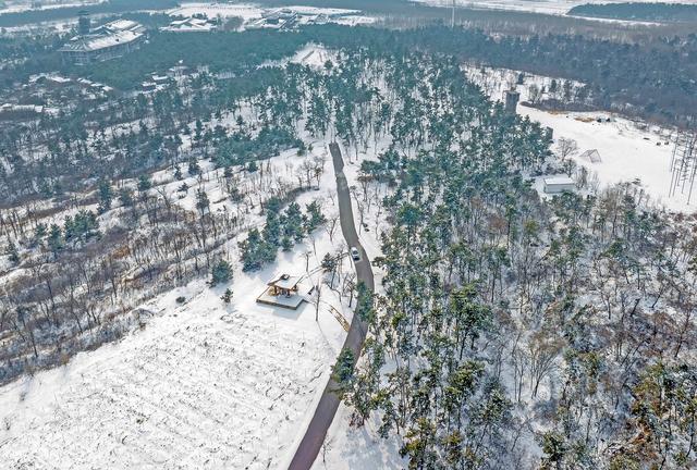 江苏东海：森林公园雪景如画