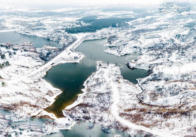 江苏东海：森林公园雪景如画