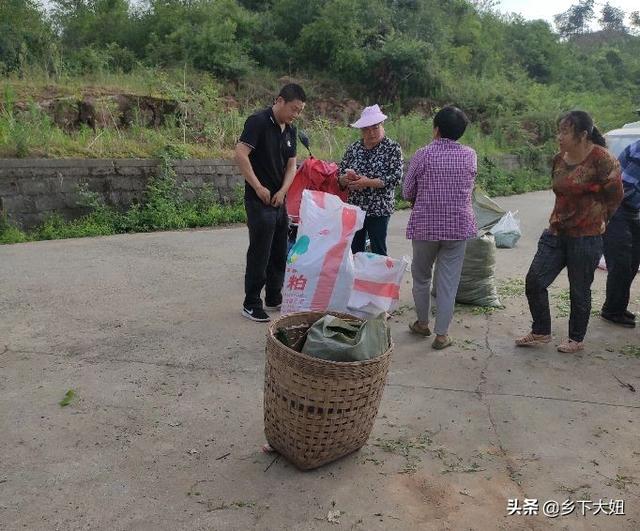 农村有种铁篱笆树，浑身长满尖刺扎得人生疼，却是受追捧的香馍馍