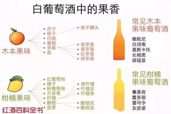 简单实用的品酒入门指南，人人都懂品酒~收藏