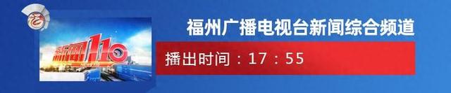 新能源汽车齐聚“海交会” 展现未来出行新魅力