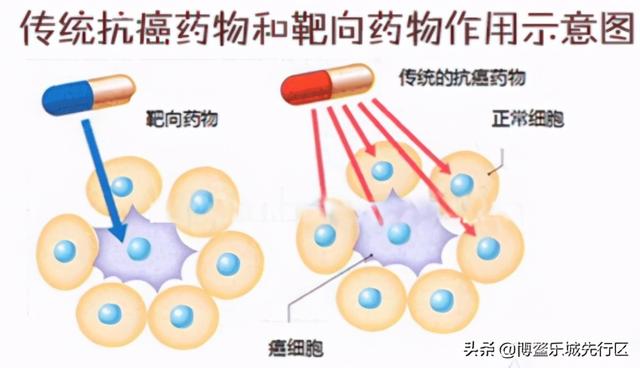 一文了解靶向药