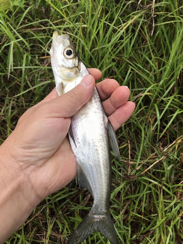 三岔湖水边戏小翘，不料车胎又中枪...