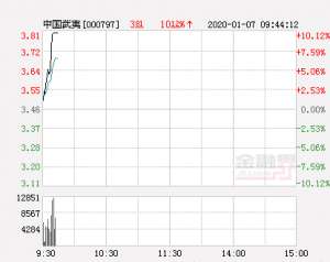 中国武夷股票(快讯：中国武夷涨停 报于381元)