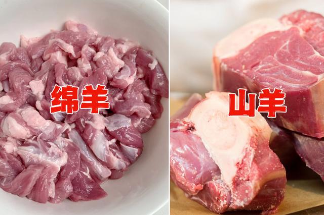 冬天买羊肉，到底买“绵羊”还是“山羊”？区别很大，弄懂再花钱