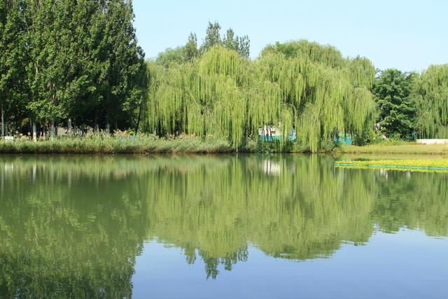 京城足迹，海淀公园