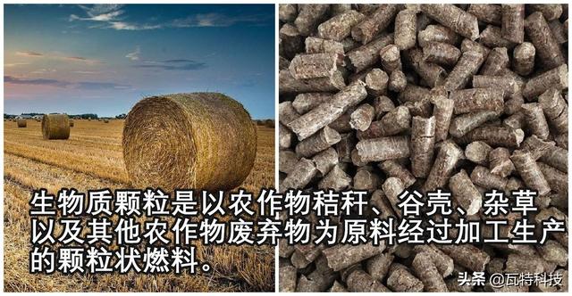 新能源产业中接地气的热点项目——生物质颗粒