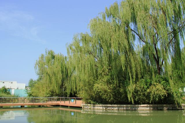 京城足迹，海淀公园