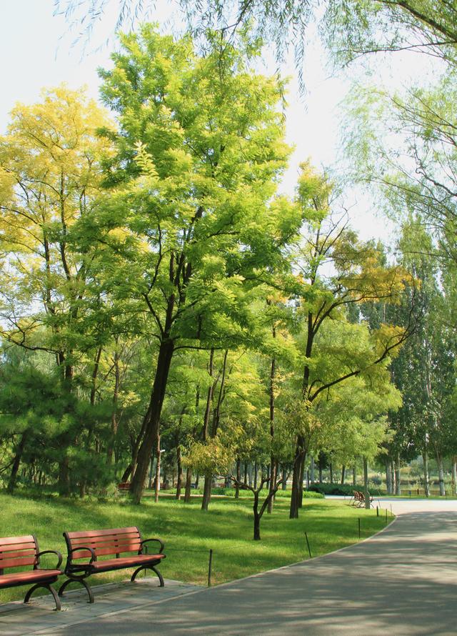 京城足迹，海淀公园