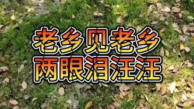 《皇城根下义乌侬》系列之二：乡亲把她当作在北京的亲戚／俞荣斌