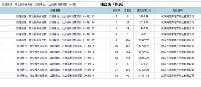 武汉市中心两栋30层高楼被投诉是违建 开发商称“重点工程走的绿色通道，先建后补手续”