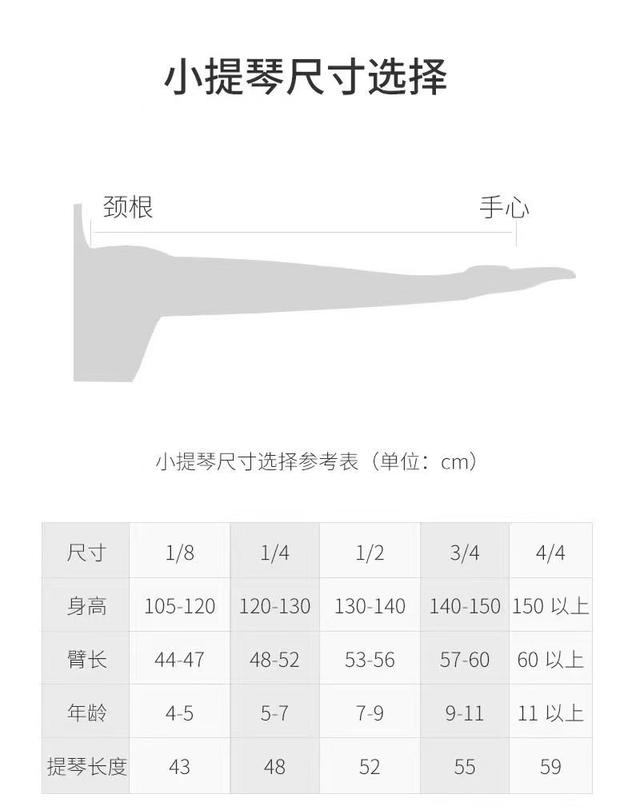 小提琴价格一般多少钱一把？要买什么价位的？