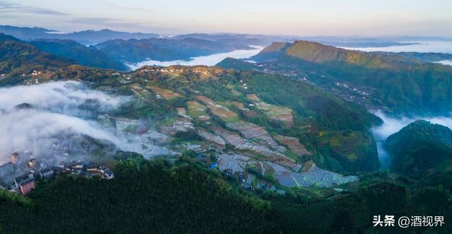 中国浓香白酒核心产区走出“大国浓香”五粮液