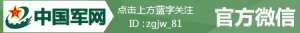 电磁枪(“神奇”电磁枪问世：可击落无人机、能屏蔽手机信号)