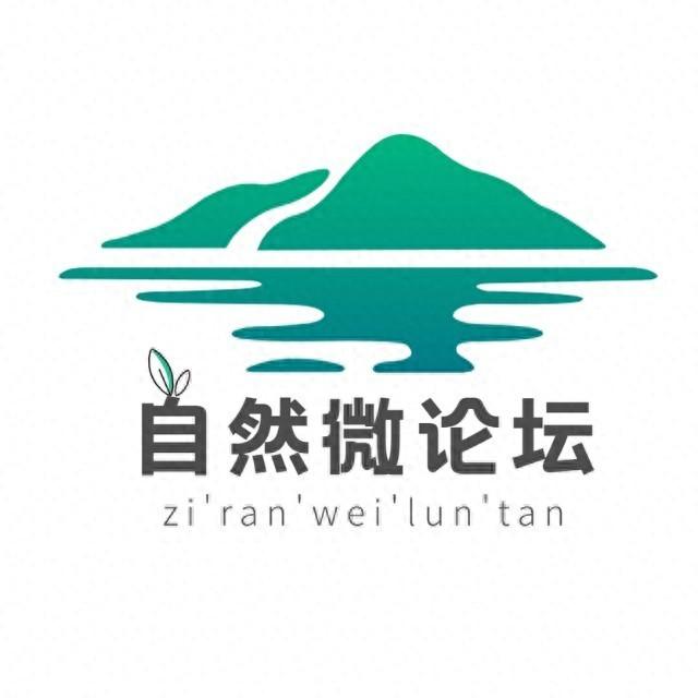 “三调”是建设用地，就可以随便盖房子？错！